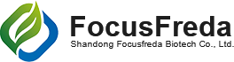 FocusFreda